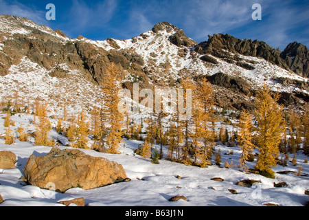 Sud Ingalls picco oro sopra i larici nel bacino del faro Alpine Lakes Wilderness Mount Baker Snoqualmie National Forest Washingt Foto Stock