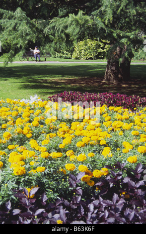 Il giallo e il rosso dei fiori in aiuole coltivate offrono una magnifica vista di un uomo anziano sat in Firenze Park, Oxford, Inghilterra Foto Stock