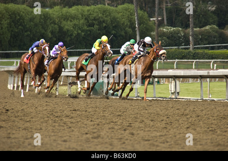 Corsa di cavalli a Santa Anita Racetrack in Arcadia, CA. Foto Stock