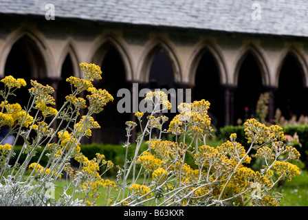 Il giardino a Mont Saint Michel. St Michaels Mount è un isola rocciosa in Normandia Francia Foto Stock