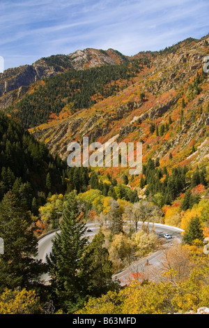 Aspens aceri e abeti all'altezza dell'autunno lungo la strada con curve in grandi pioppi neri americani Canyon parte del monte Wasatch Foto Stock