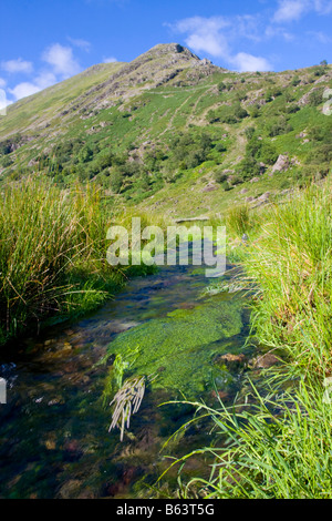 Flusso in Borrowdale Lake District UK Foto Stock