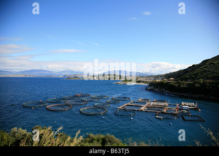 Fattoria di Pesce nella baia Foto Stock