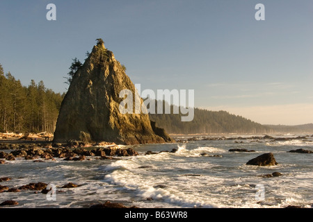 Rialto Beach dal foro nella parete il parco nazionale di Olympic Washington Foto Stock