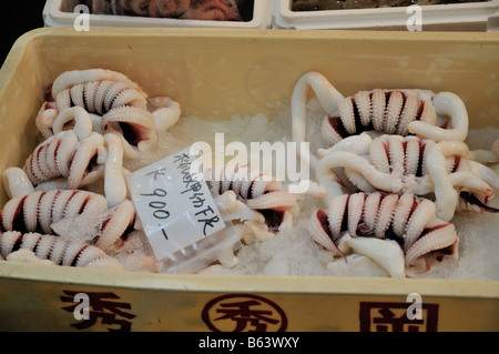 Octopus per la vendita al mercato Tsukiji, Tokyo, Giappone Foto Stock