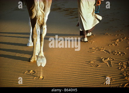 Algeria, Timimoun, uomo a camminare nel deserto del Sahara con il cammello, sezione bassa Foto Stock