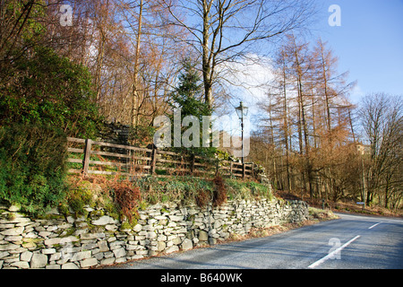 Autunno paesaggio vicino 'Loughrigg Tarn' Parco Nazionale del Distretto dei Laghi, Gran Bretagna. Foto Stock