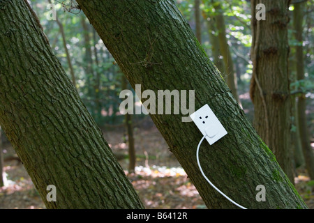 Presa elettrica su albero nella foresta Foto Stock