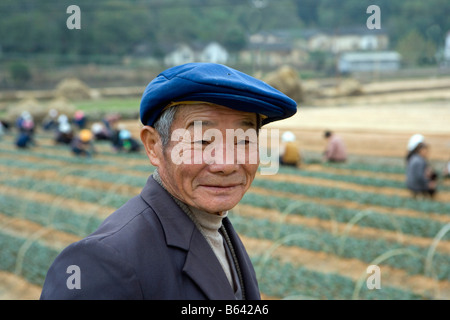 Cina Anhui, Hefei, Tè vivaio, Ritratto agricoltore. Foto Stock
