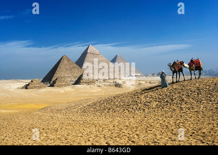 L'Egitto, al Cairo e Piramidi di Giza, l uomo con il camel Foto Stock