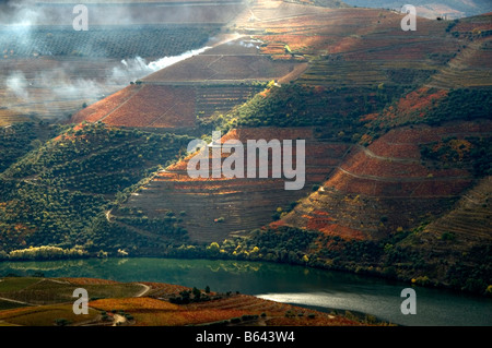 Autunno nella Valle del Douro Foto Stock