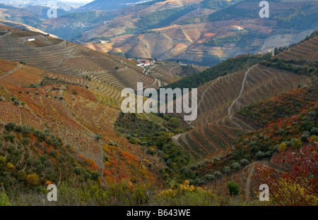 Autunno nella Valle del Douro Foto Stock