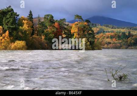 Derwent Water mostra Derwent isola con barca e casa Grisedale Pike in background Foto Stock