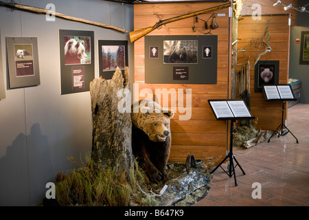 Finlandia, Kuhmo, Petola Visitor Center. Informazioni su più grande della Finlandia e carnivori preditors, come orso, lupo Foto Stock