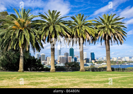 Le palme in King's Park di Perth la grattacieli in lontananza. Australia occidentale Foto Stock