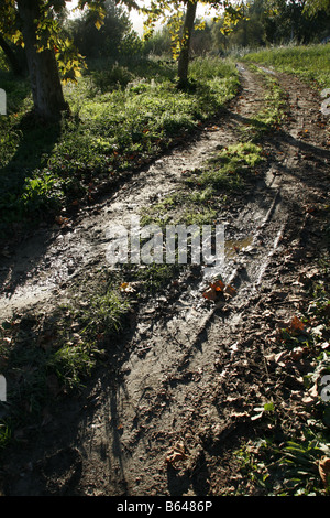 Acqua su terreni fangosi pista rurale lane in un campo vuoto Foto Stock