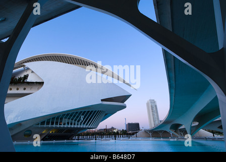 Valencia Opera House El Palau de les Arts Reina Sofia Valencia Spagna Foto Stock