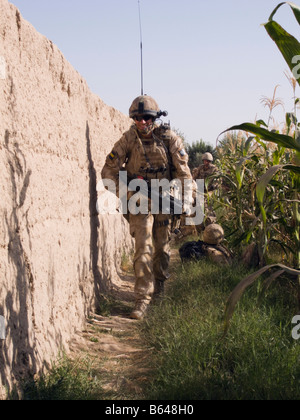 Ufficiale dell'Esercito britannico di pattuglia nella provincia di Helmand in esecuzione con SA80, underslung lanciagranate, casco e giubbotti antiproiettile. Foto Stock