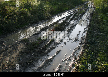 Acqua su terreni fangosi pista rurale lane in un campo vuoto Foto Stock