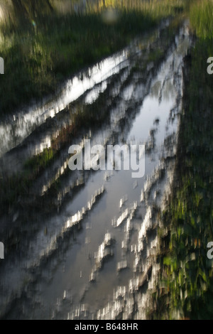 Acqua su terreni fangosi pista rurale lane in un campo vuoto Foto Stock