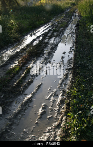 Acqua su terreni fangosi pista rurale lane in un campo vuoto Foto Stock