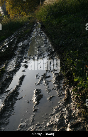 Acqua su terreni fangosi pista rurale lane in un campo vuoto Foto Stock