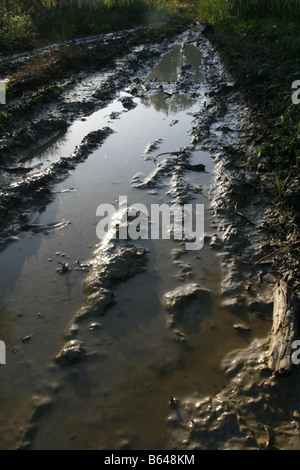 Acqua su terreni fangosi pista rurale lane in un campo vuoto Foto Stock