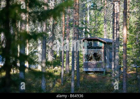 Finlandia, Kuikka lago, vicino a Kuhmo. Arcticmedia. Centro per il turismo e la fotografia della fauna selvatica, nascondere. Foto Stock