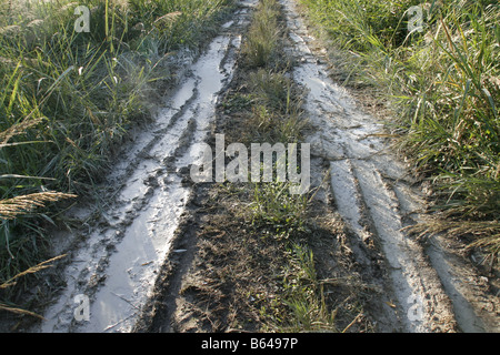 Acqua su terreni fangosi pista rurale lane in un campo vuoto Foto Stock