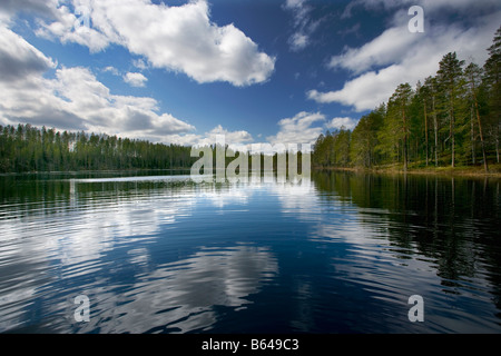 Finlandia, Kuikka lago, vicino a Kuhmo. Arcticmedia. Alberi con riflessione nel lago Foto Stock