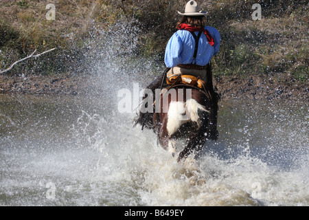 Un cowboy in esecuzione il suo cavallo attraverso l'acqua lungo il bordo di un laghetto Foto Stock