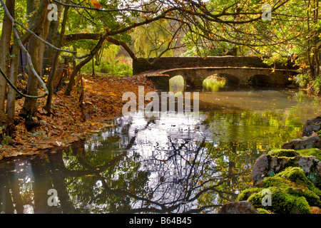 Bella scena autunnale di By Brook e la piccola passerella in pietra nel villaggio di Castle Combe, Wiltshire, Inghilterra. Foto Stock