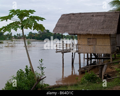 Bamboo House e papaia albero sul fiume Mekong in Laos Foto Stock