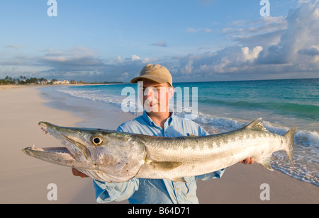 Caraibi Repubblica Dominicana uomo contiene grandi quantità di Barracuda catturato dalla spiaggia MR Foto Stock