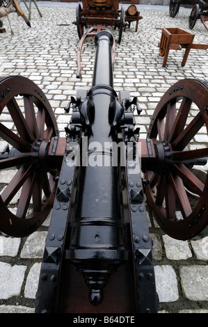 Il cannone sulla Battaglia del Boyne sito sul campo di battaglia a Oldbridge, vicino a Drogheda, nella contea di Meath storia reliquia storica Foto Stock