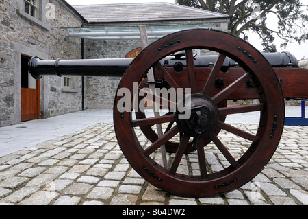 Il cannone sulla Battaglia del Boyne sito sul campo di battaglia a Oldbridge, vicino a Drogheda, nella contea di Meath storia reliquia storica Foto Stock