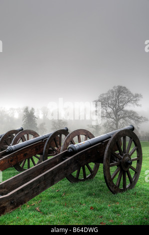 Il cannone sulla Battaglia del Boyne sito sul campo di battaglia a Oldbridge, vicino a Drogheda, nella contea di Meath storia reliquia storica Foto Stock