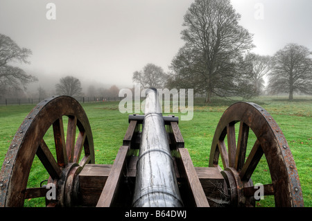 Il cannone sulla Battaglia del Boyne sito sul campo di battaglia a Oldbridge, vicino a Drogheda, nella contea di Meath storia reliquia storica Foto Stock