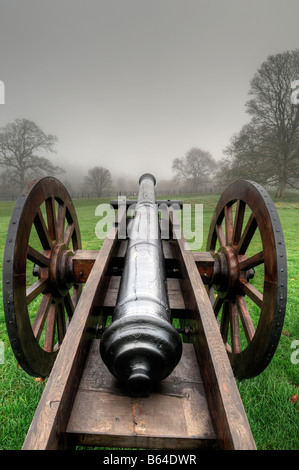 Il cannone sulla Battaglia del Boyne sito sul campo di battaglia a Oldbridge, vicino a Drogheda, nella contea di Meath storia reliquia storica Foto Stock