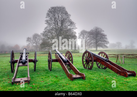 Il cannone sulla Battaglia del Boyne sito sul campo di battaglia a Oldbridge, vicino a Drogheda, nella contea di Meath storia reliquia storica Foto Stock