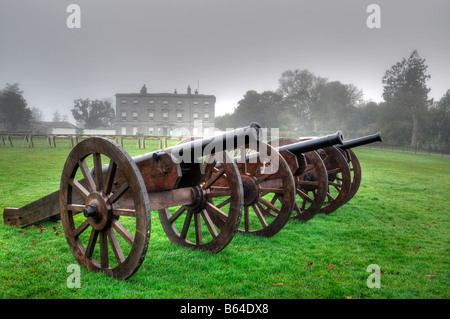 Il cannone sulla Battaglia del Boyne sito sul campo di battaglia a Oldbridge, vicino a Drogheda, nella contea di Meath storia reliquia storica Foto Stock