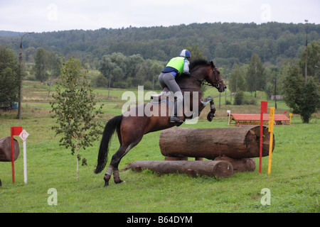 Cavaliere a cavallo salta un recinto durante un giorno di gestione degli eventi Foto Stock