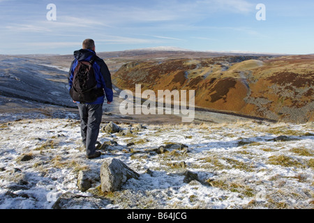 Hill Walker godendo la vista lungo il Fiume Tees verso Widdybank cadde Cronkley cadde Teesdale superiore della Contea di Durham Foto Stock