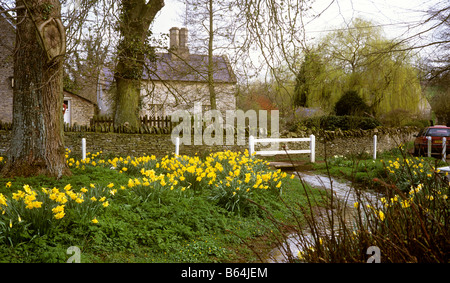 Regno Unito Inghilterra Oxfordshire Swinbrook villaggio primavera Fiume Windrush Foto Stock