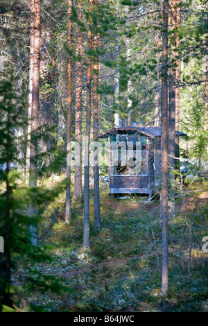 Finlandia, Kuikka lago, vicino a Kuhmo. Arcticmedia. Centro per il turismo e la fotografia della fauna selvatica, nascondere. Foto Stock