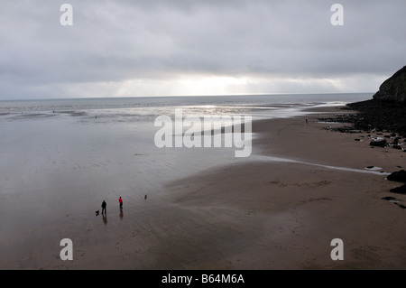 Giovane a piedi i loro cani sulla spiaggia Pendine su un inverni atrernoon Carmarthenshire Galles Foto Stock