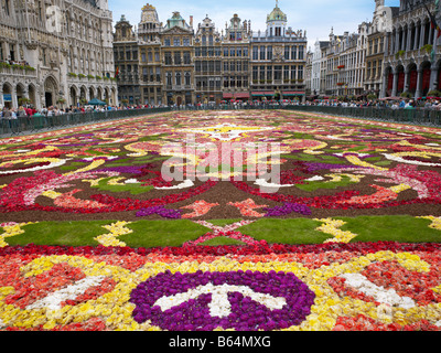 Tappeto di fiori sulla Grand Place Bruxelles, Brabant, Belgio, Europa Foto Stock