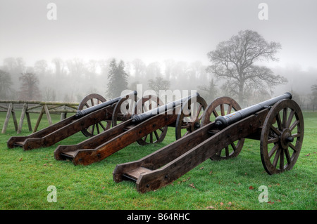 Il cannone sulla Battaglia del Boyne sito sul campo di battaglia a Oldbridge, vicino a Drogheda, nella contea di Meath storia reliquia storica Foto Stock