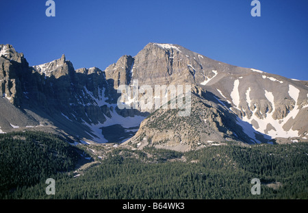 Una vista di una montagna alta prato aspen e di abeti e i picchi della gamma di serpente montagne, Nevada nel Parco nazionale Great Basin. Foto Stock