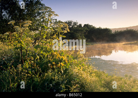 Arcata Marsh Arcata Humboldt County in California Foto Stock